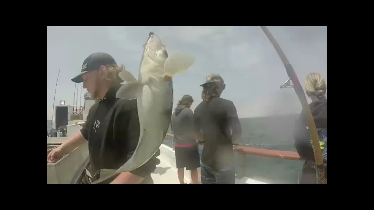 Daily Double Sportfishing Sand Bass and Rock fishing!