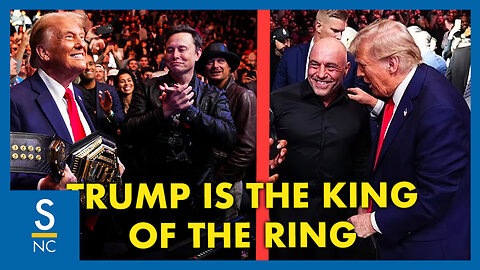 Trump Dominates At UFC
