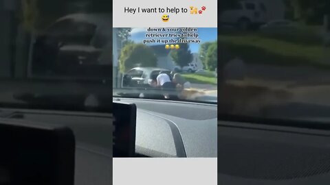 Hey I want to help to