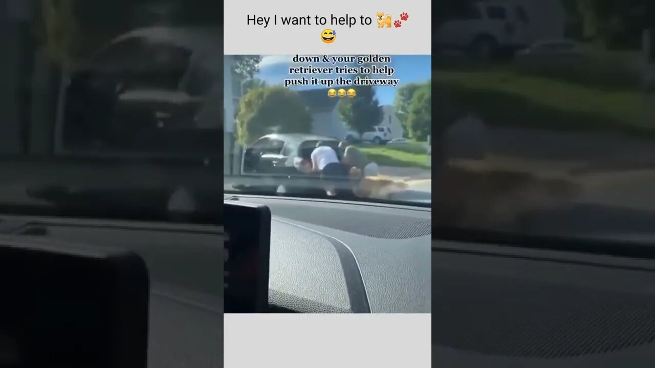 Hey I want to help to