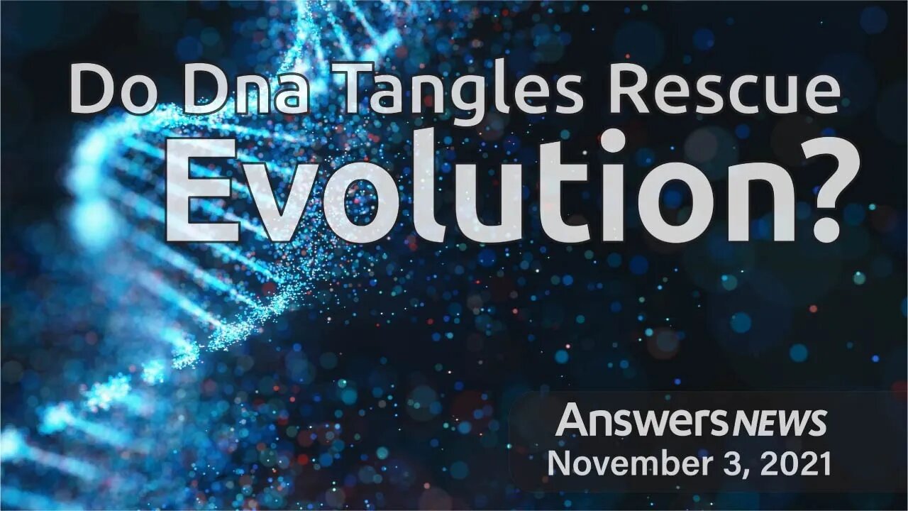 Do Dna Tangles Rescue Evolution? - Answers News: November 3, 2021