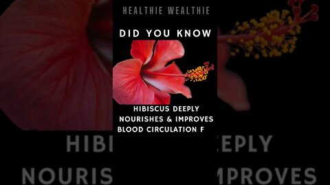The Best Healing Herbs You Should Know || #health || #shorts || #herbs