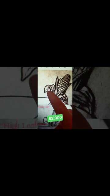 $2,000 state quarter sold at auction! #coins #money