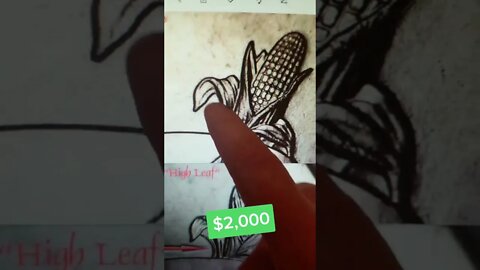 $2,000 state quarter sold at auction! #coins #money