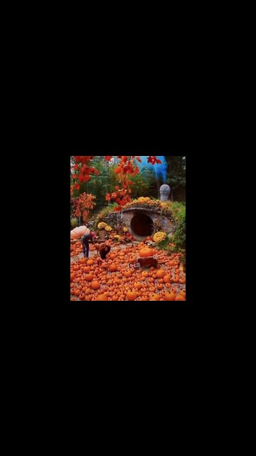 The Hobbit House in Autumn