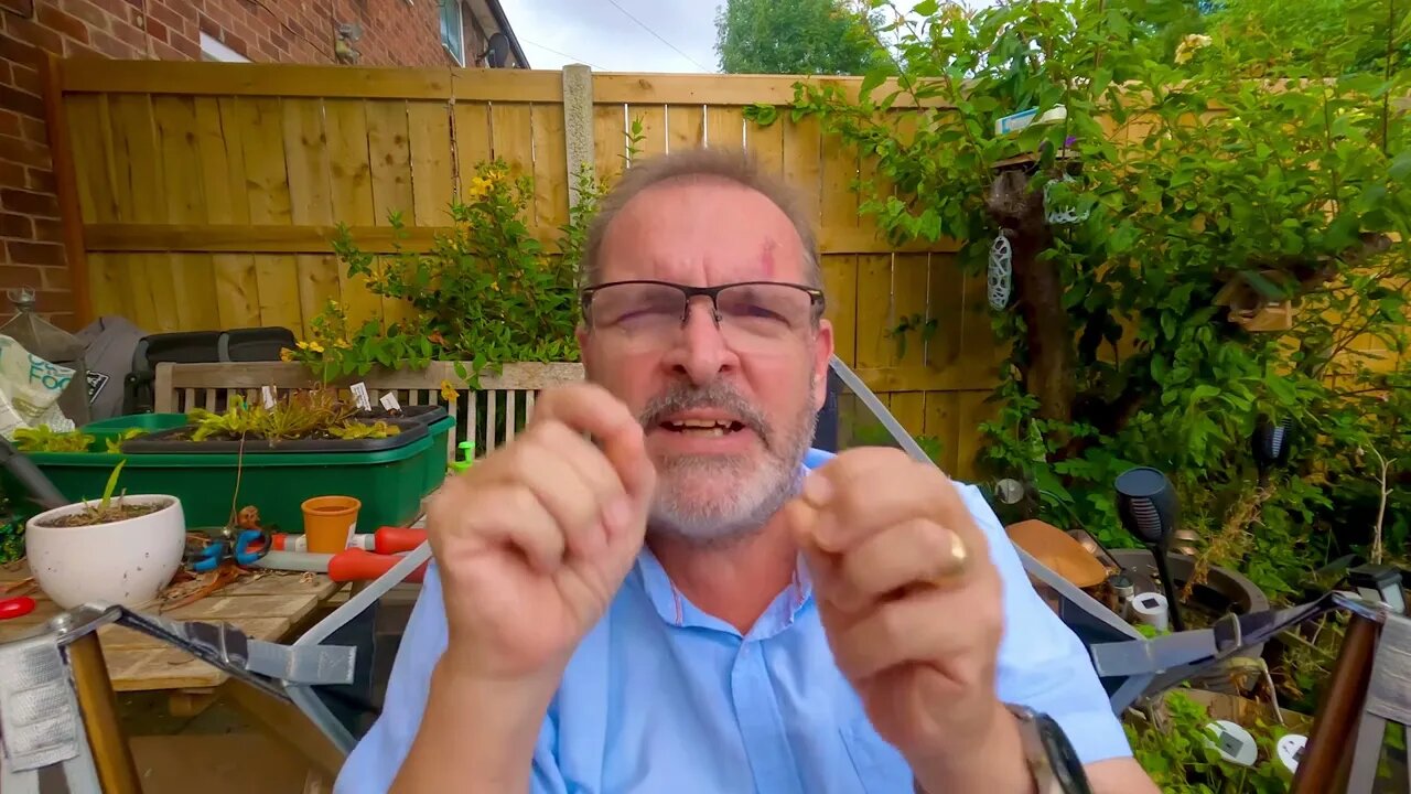 Will your next meal be bugs, locust, earthworms or spiders
