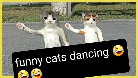 cutest cats dancing😂😁😀😄