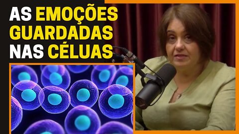 O QUE É A TERAPIA CRANIOSACRAL? | Lívia Bellotto (Mãe do Monark) | Monark Talks