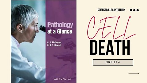 Cell Death - Pathology at a Glance (CHAPTER 4 REVIEW) | Necrosis | Autophagy | Apoptosis