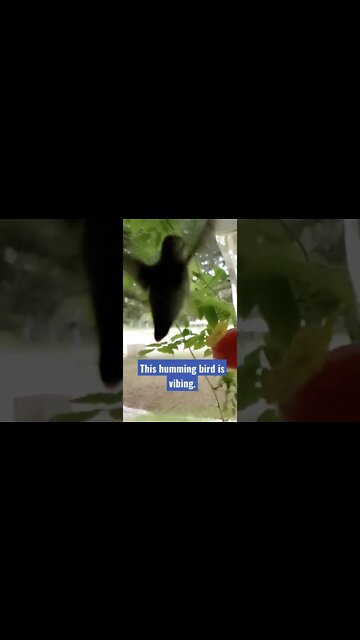 i cant stop watching this 😭 😍