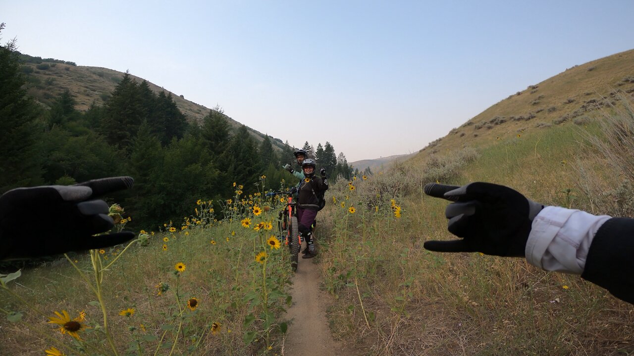 Boise ID ~ Dry Creek (Sunflower Smiles) Pt 3