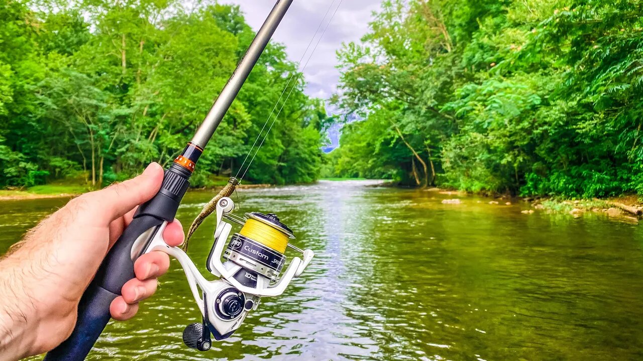 Creek Fishing for ANYTHING That will Bite