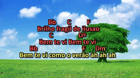 renato terra bem te vi karaoke playback 2