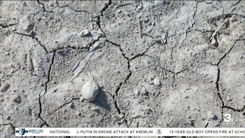 USDA opens up assistance for Nebraska ag producers struggling with drought