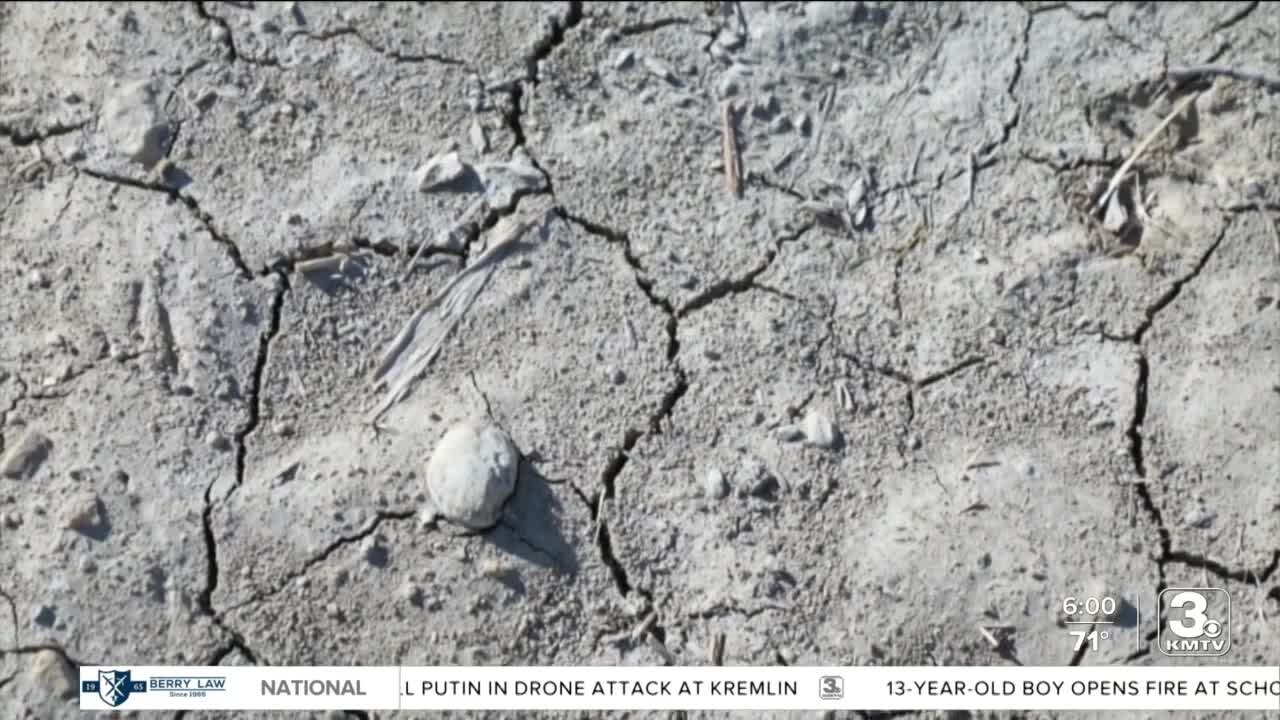 USDA opens up assistance for Nebraska ag producers struggling with drought