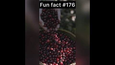 Did you know this about coffee beans?