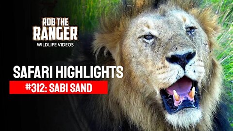 Safari Highlights #312: 22 - 25 December 2014 | Sabi Sand Nature Reserve | Latest Wildlife Sightings