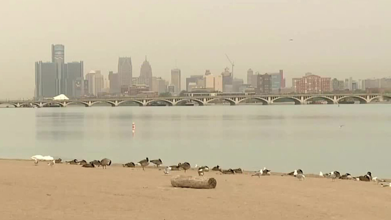 Belle Isle's beach remains closed due to high E. coli levels