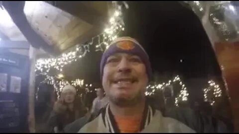 Holiday lights at the Garden Bridge 3