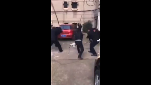 La realidad de las mascotas en Shangai, China.