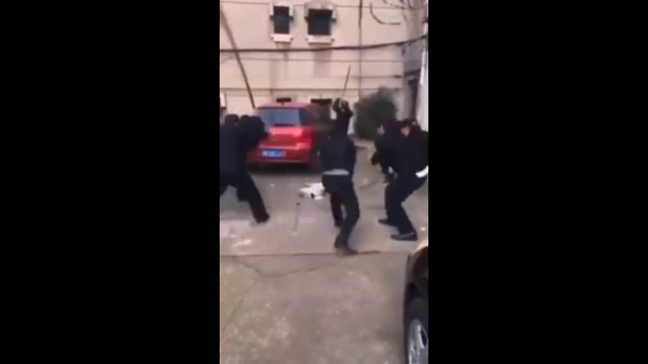 La realidad de las mascotas en Shangai, China.