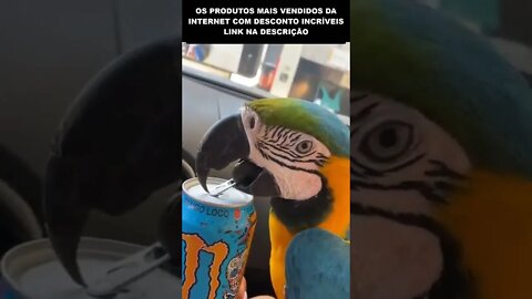 essa arara aprendeu a abrir latas com o bico