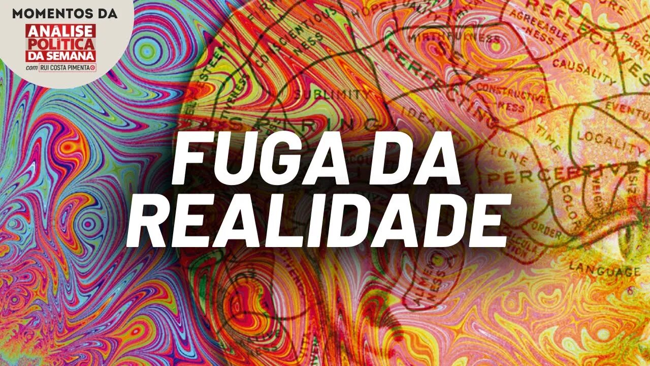 A opinião de Rui sobre os experimentos psicodélicos | Momentos da Análise Política da Semana