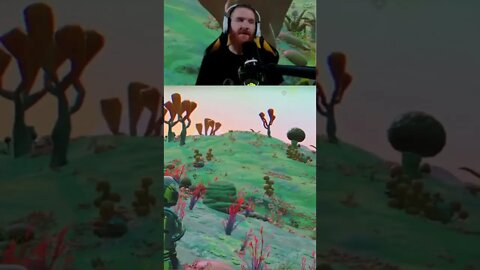 No Mans Sky do be kinda pretty tho