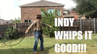 INDIANA JONES IMPERSONATOR MIKE GOLDBERG GETS CRACKING !!!