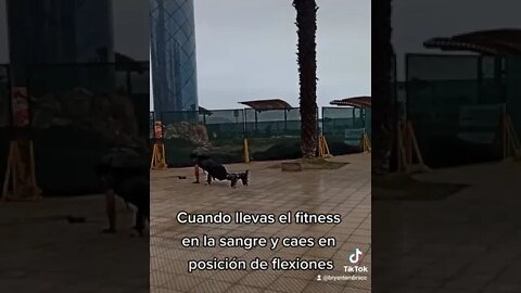 Cuando Llevas el Fitness en la Sangre ⛸️