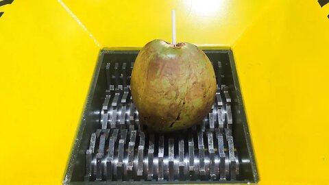 Shredder Machine VS Coco Verde! Teste ASMR com Brinquedos.