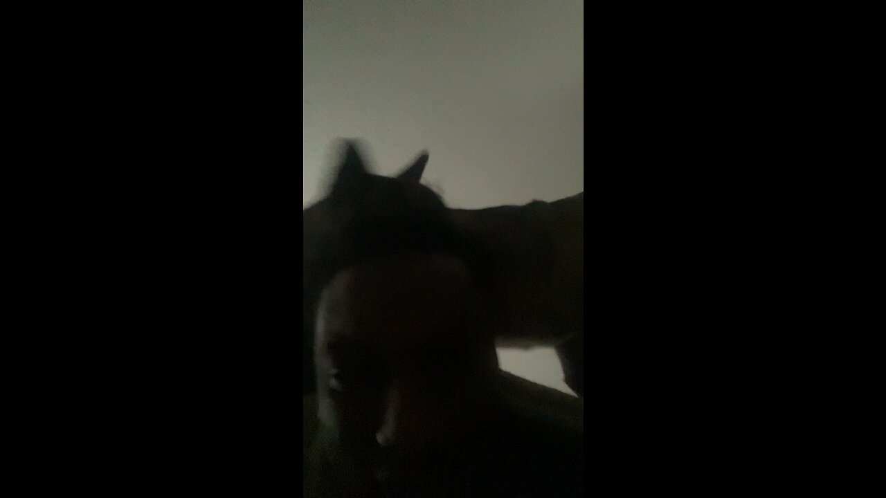 “Hey, Can You Step On My Back For Me?”