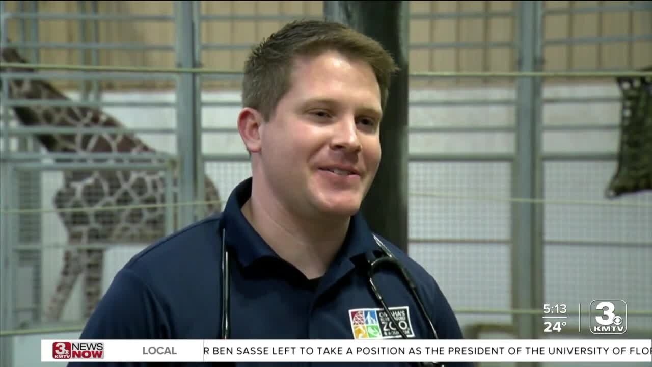 New giraffe calf expected in Omaha