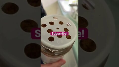 What the heck is Asian five spice, anyway?! #short #shorts #cooking #food #spice #five #trending