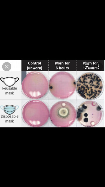 Pro maskers song 🙀