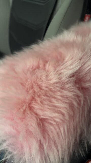 😆 any dad‘s miss moving their daughter‘s car hit the thumbs button