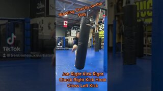 Working Leg Check on the Heavybag respond and react