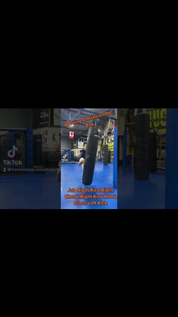 Working Leg Check on the Heavybag respond and react