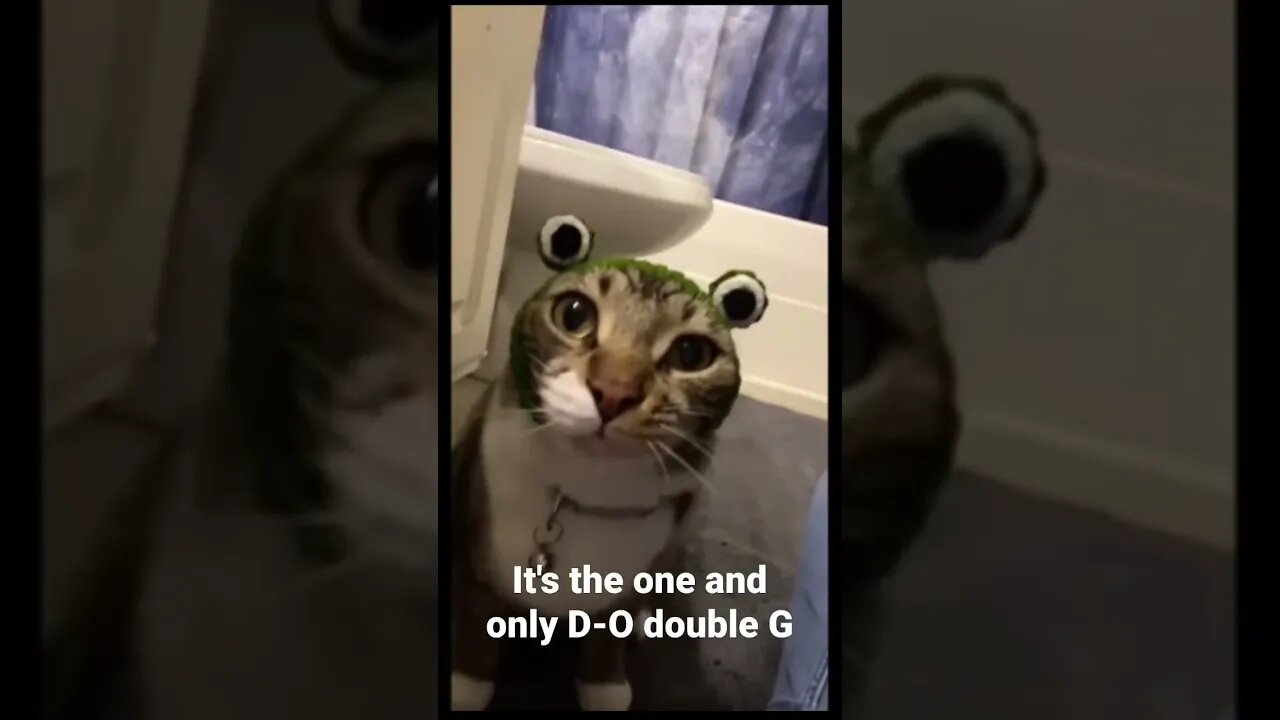 MEME is the one and only D-O double G #shorts