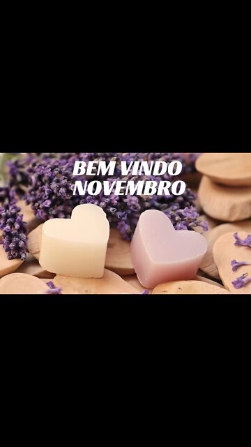 BEM-VINDO NOVEMBRO.#shorts