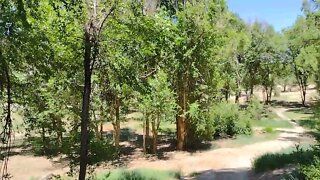 Cottonwood Creek Disc golf back 9