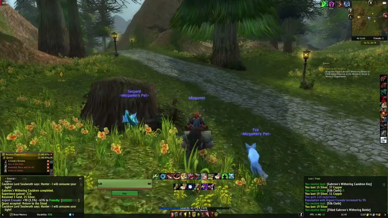 Return to the Stead WoW MMORPG Quest Guide