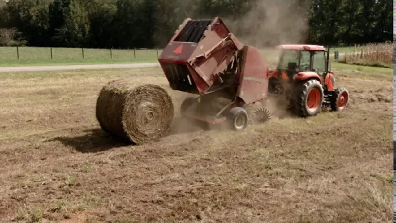 Working the Hay Field