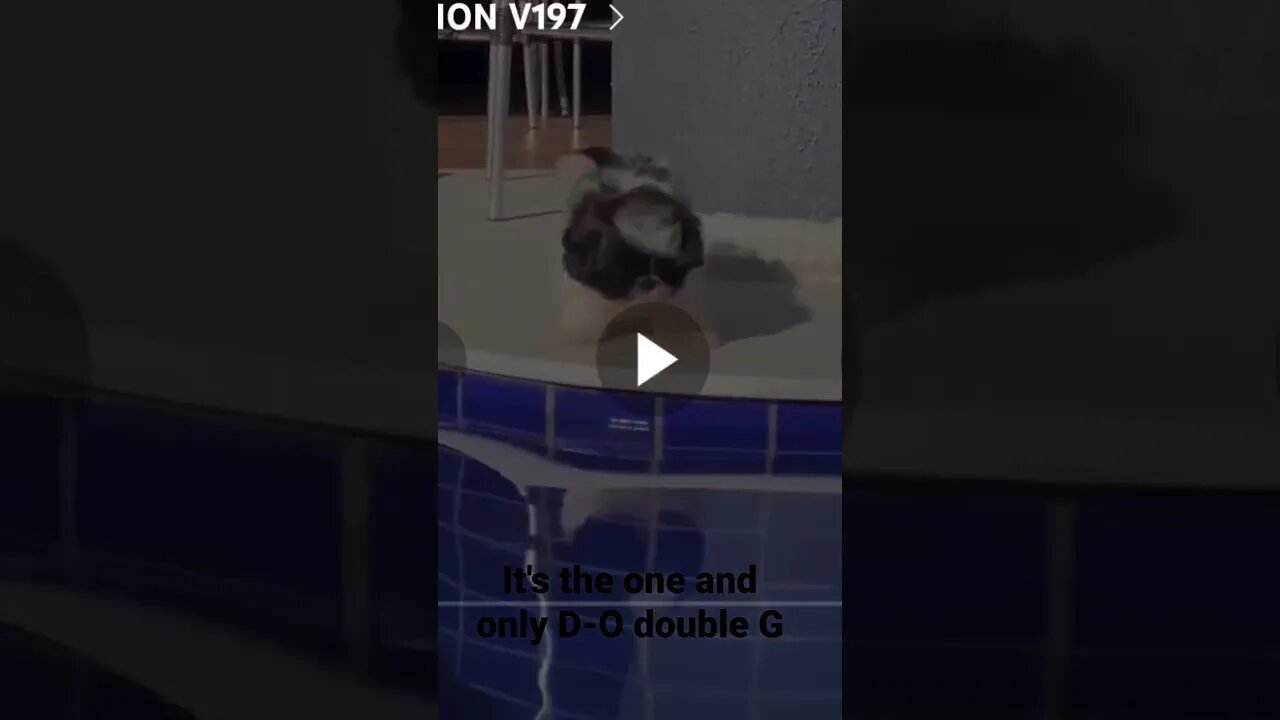 It's the one and only D-O double G...doggy