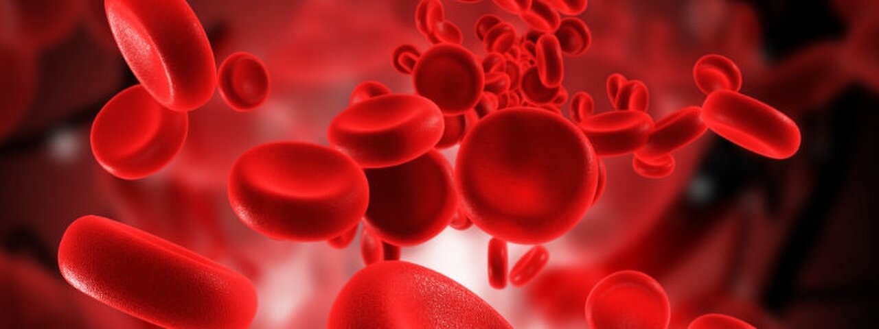 Do this to purify your blood naturally- why blood is not pure?