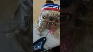 30 Day Songwriting Challenge #27: Wigwolf - Poppy Sucks