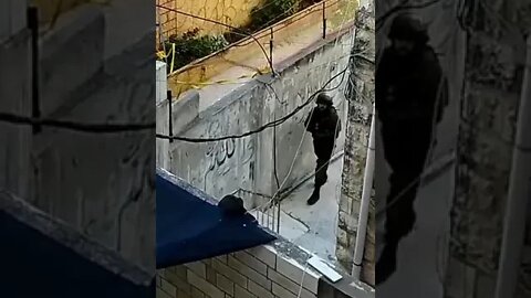 19 de novembro de 2022