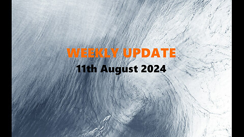 WEEKLY UPDATE - 11 August 2024