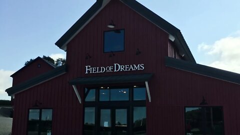 Field of Dreams - #shorts, #westie, #prepperboss