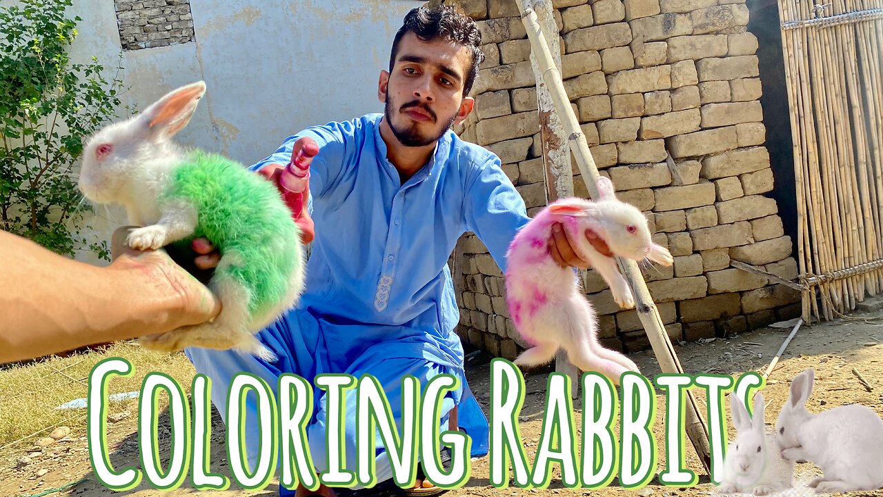 Coloring My baby Rabbits 🐇